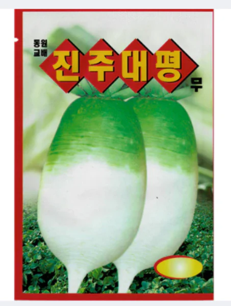 Seed Korean  1pk, 진주대평 무 1팩