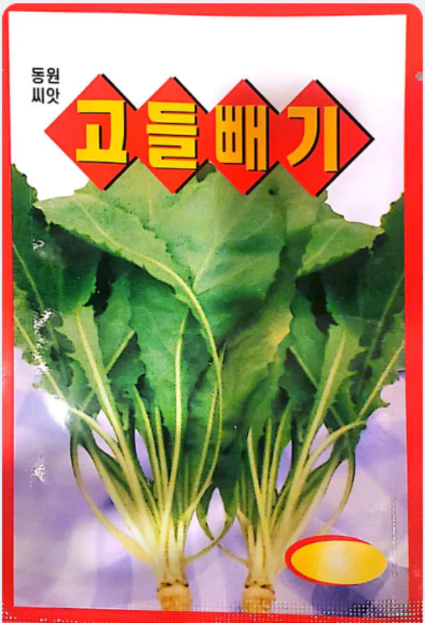Seed Korean  1pk, 고들빼기 1팩