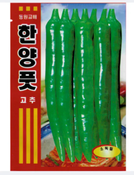 Seed Korean  1pk, 한양풋 고추 1팩