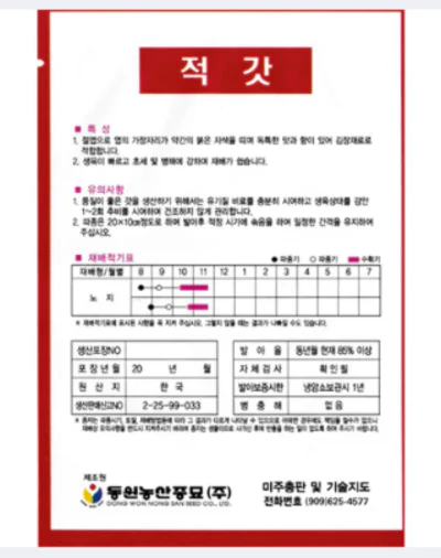 Seed Korean  1pk, 적갓 1팩 - Image 2