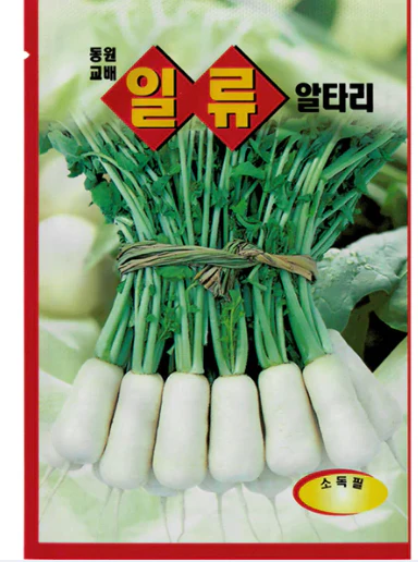 Seed Korean young radish  1pk  ,  씨앗 알타리  1 팩