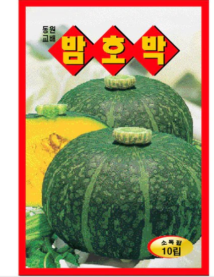 Seed Japanese pumpkin 1pk  , 씨앗  밤호박 1 팩
