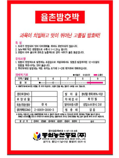 Seed Japanese pumpkin 1pk , 씨앗 밤호박 1 팩 - Image 2