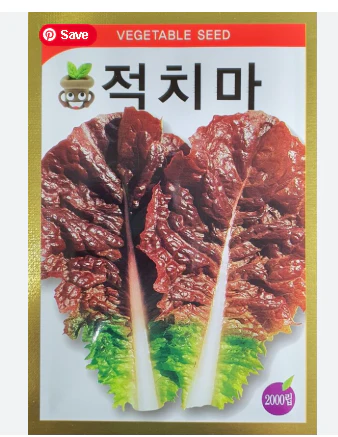 Seed Korean Red Skirt Lettuce 1pk  , 씨앗  한국 적치마