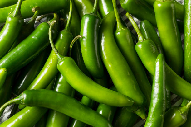 SERRANO PEPPER lb , 세라노 고추 , LB