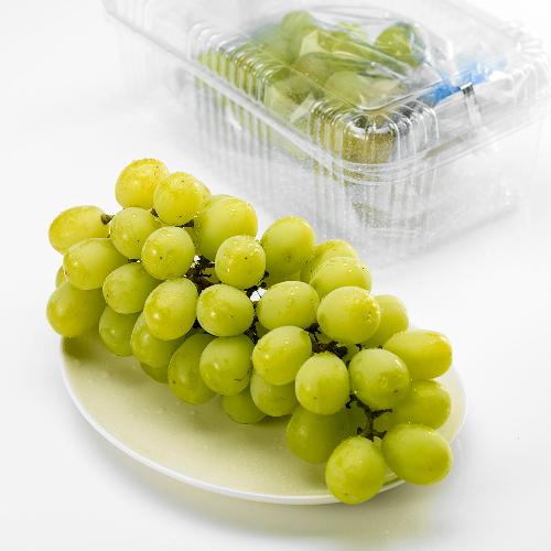 [Local Only]SHINE GREEN GRPAE (3LB) , 샤인 청포도  PK(3LB)