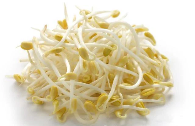 [Local Only]Soy bean sprout 1lbBaby /Bag , 아기 콩나물 (1LB) , Bag
