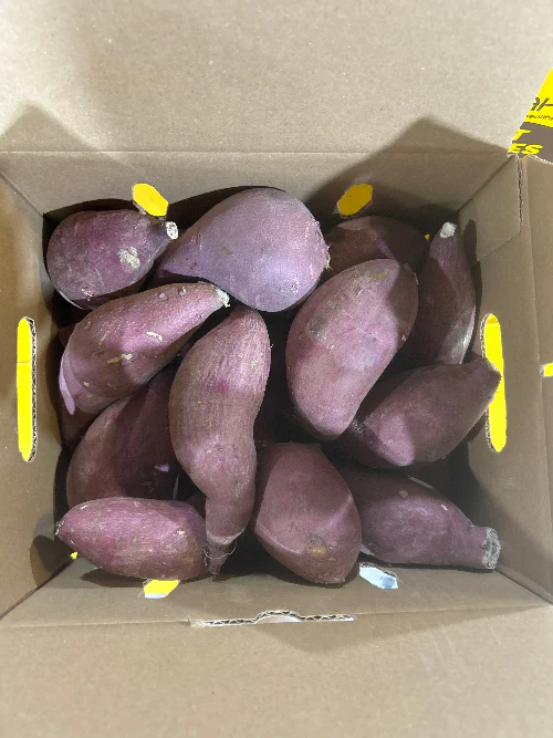 SWEET POTATO BOX , 한국 고구마 선물 박스 5LB