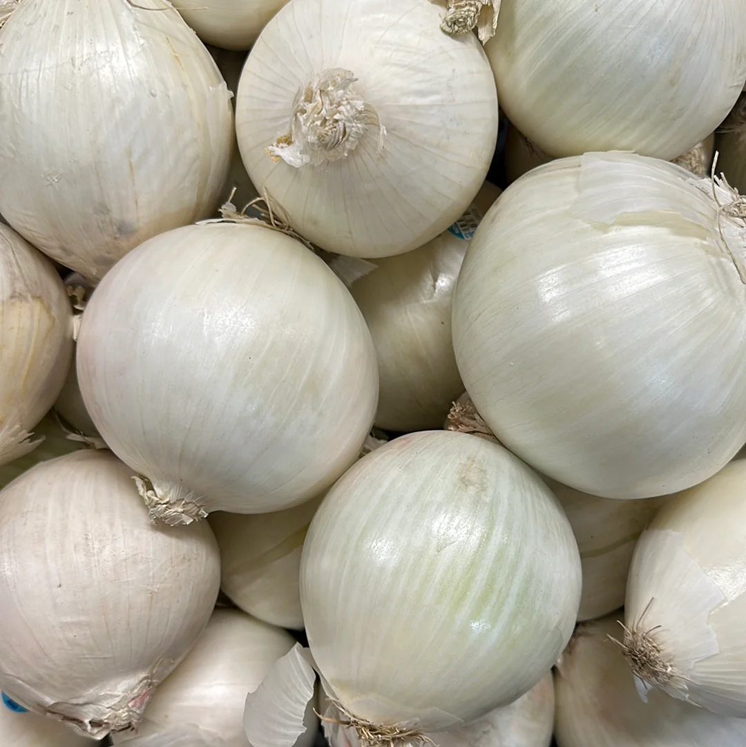 WHITE ONION lb , 흰 양파 , LB