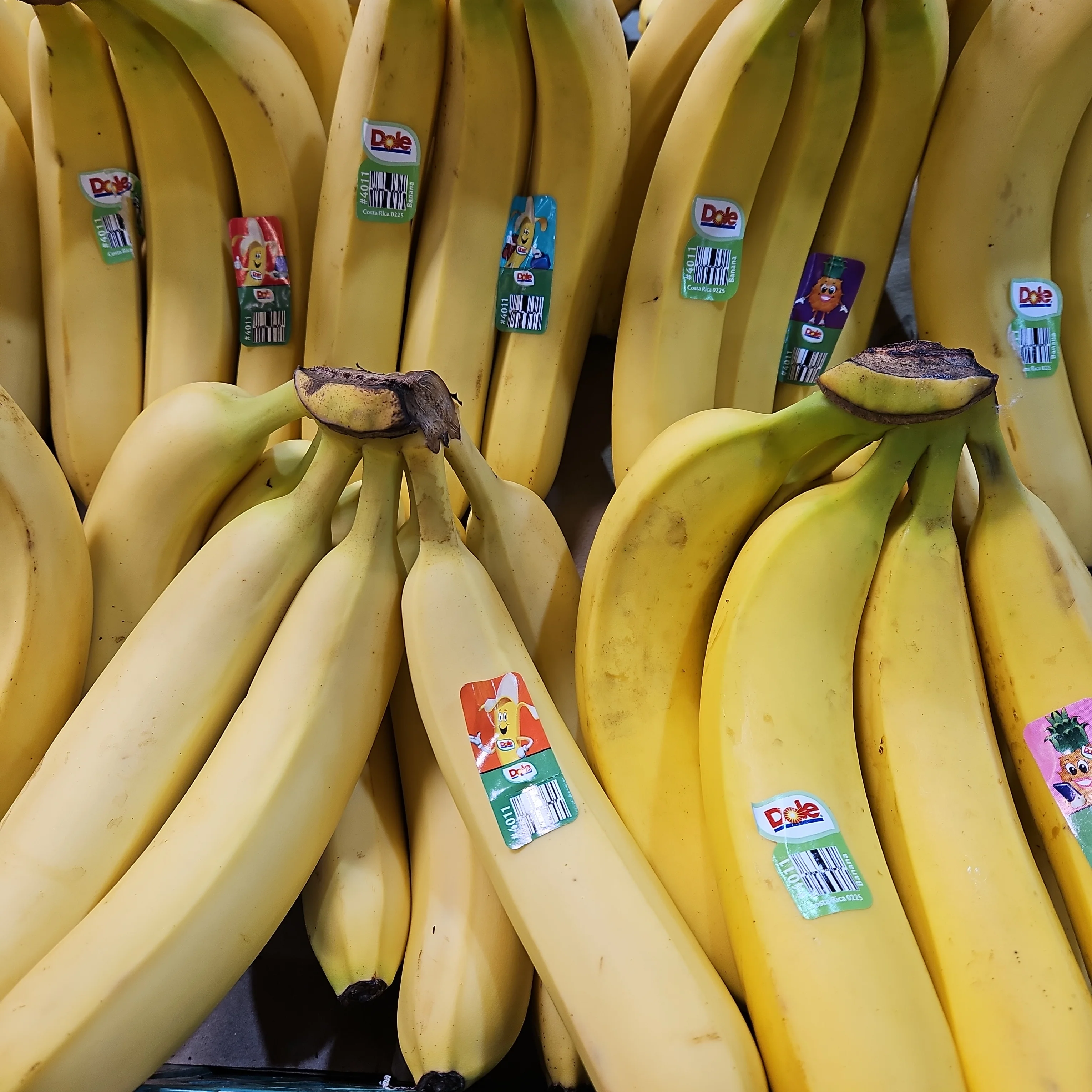 [Local Only] YELLOW BANANA lb /노란 바나나 LB - Image 2