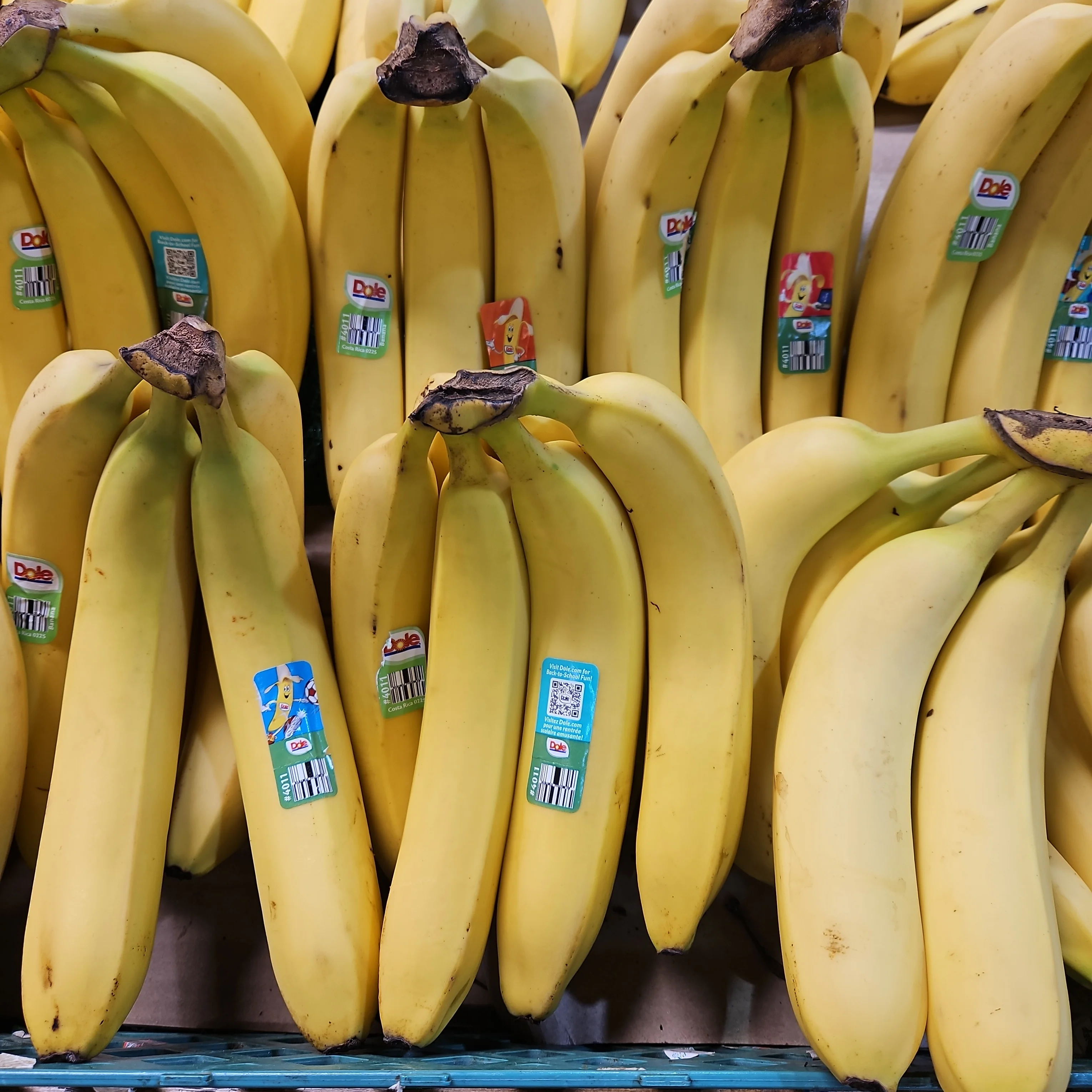 [Local Only] YELLOW BANANA lb /노란 바나나 LB - Image 3