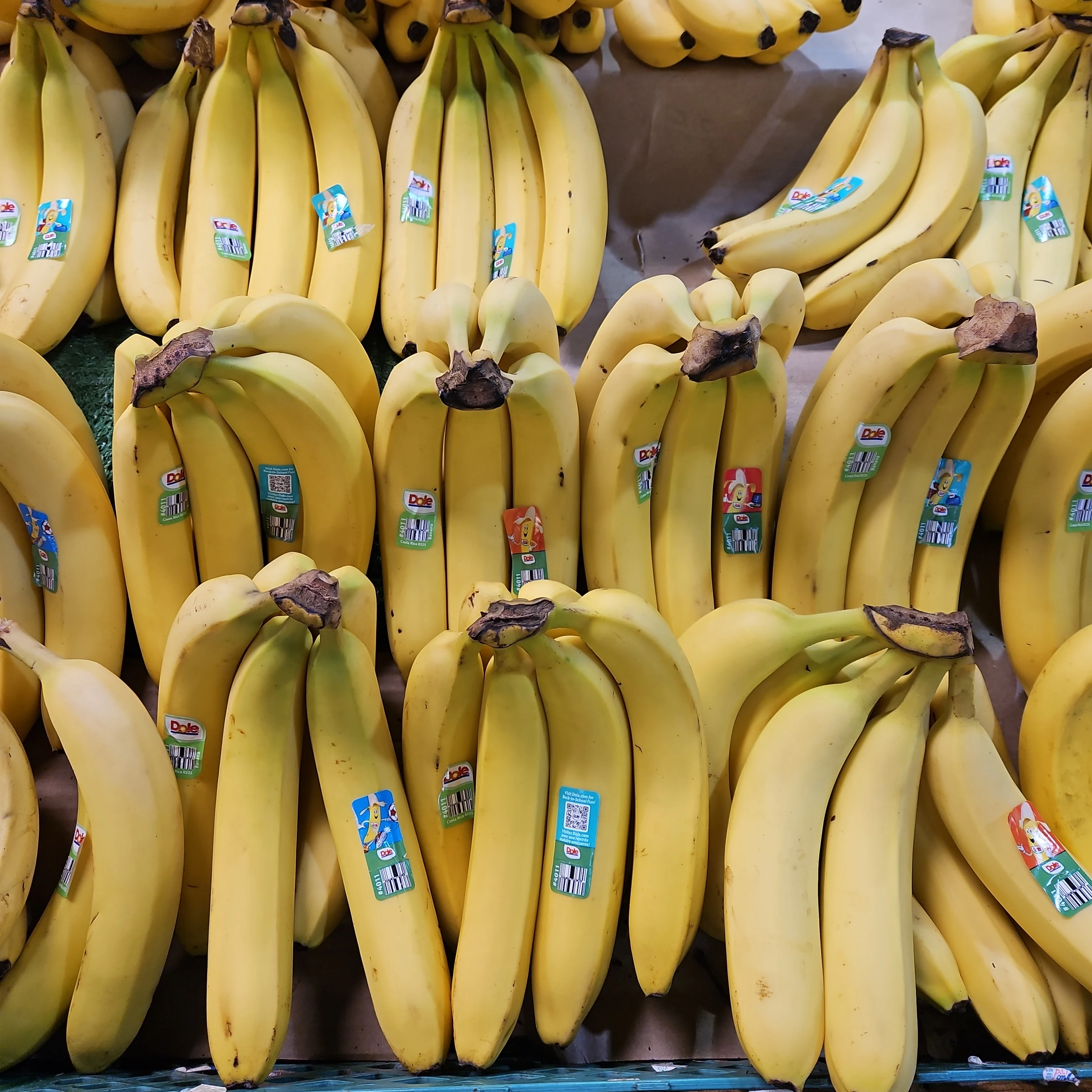 [Local Only] YELLOW BANANA lb /노란 바나나 LB - Image 4