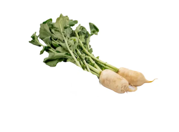 [Local Only] Young Radish bag(2bunch), 총각무 BAG(2bunch)